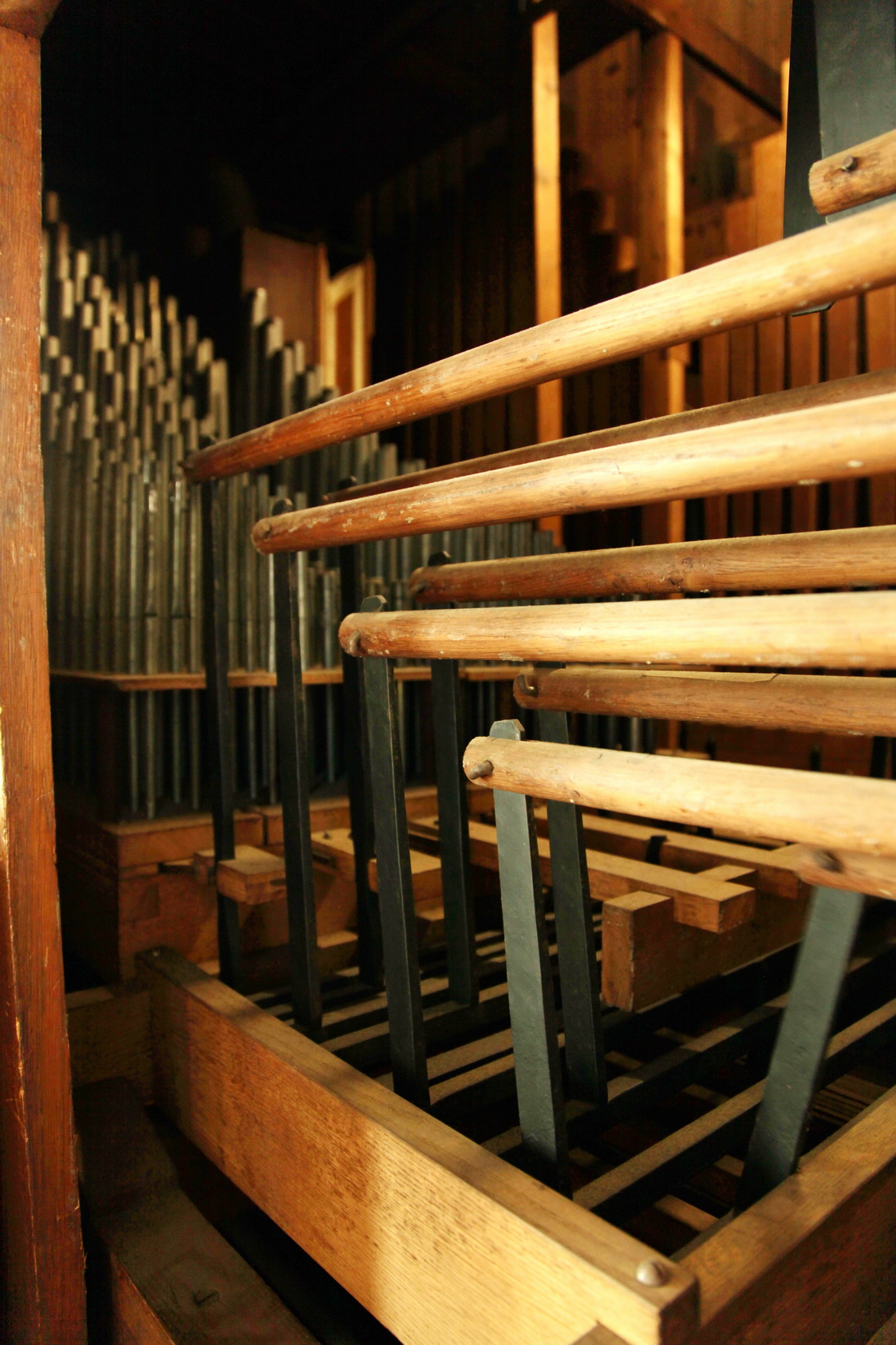 ArnhemWalburgis-orgel30