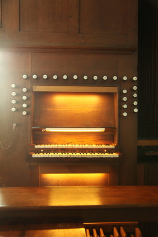 ArnhemWalburgis-orgel42