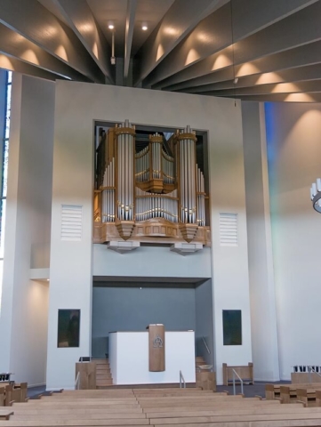 NieuwBeijerland-orgel04